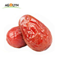 Organic Xinjiang Fresh Dry Fruits Red Dates Jujube